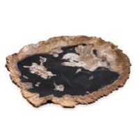 PETRIFIED PLATE