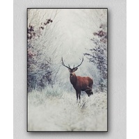 HIGHLAND STAG ART