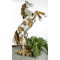 WILD STALLION RANGE