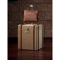VINTAGE TRUNK SIDE / LAMP TABLE
