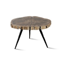 BIRCH PETRIFIED COFFEE TABLE