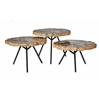 TRIAGE TABLE SET - LIGHT