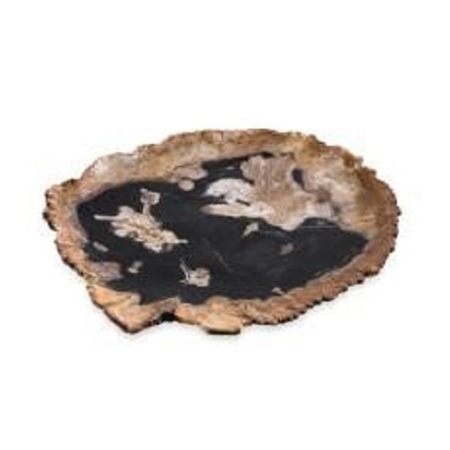 PETRIFIED PLATE - DARK COLOURWAYS