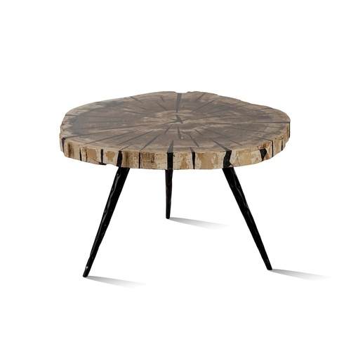 BIRCH PETRIFIED COFFEE TABLE